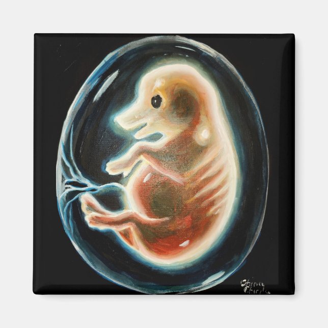 Gris embryo magnet (Framsidan)