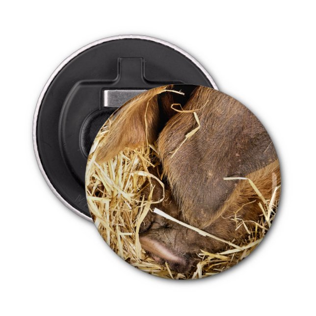 GRIS FLASKÖPPNARE (Framsidan)