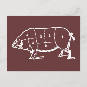 Gris (GRIS)-diagram över slaktkycklingar - Bacon Vykort