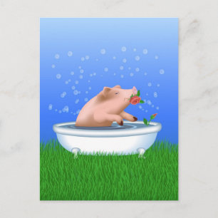 Gris i Bath Vykort