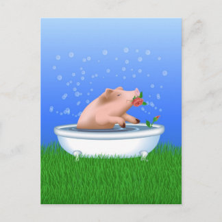 Gris i Bath Vykort