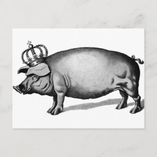 Gris Krona Royal drottning Big Piggy Vykort