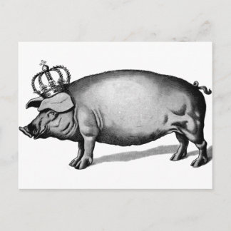 Gris Krona Royal drottning Big Piggy Vykort