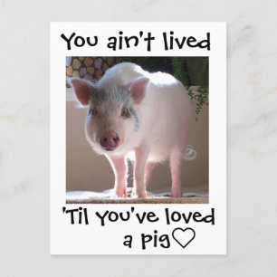 Gris lovin' vykort