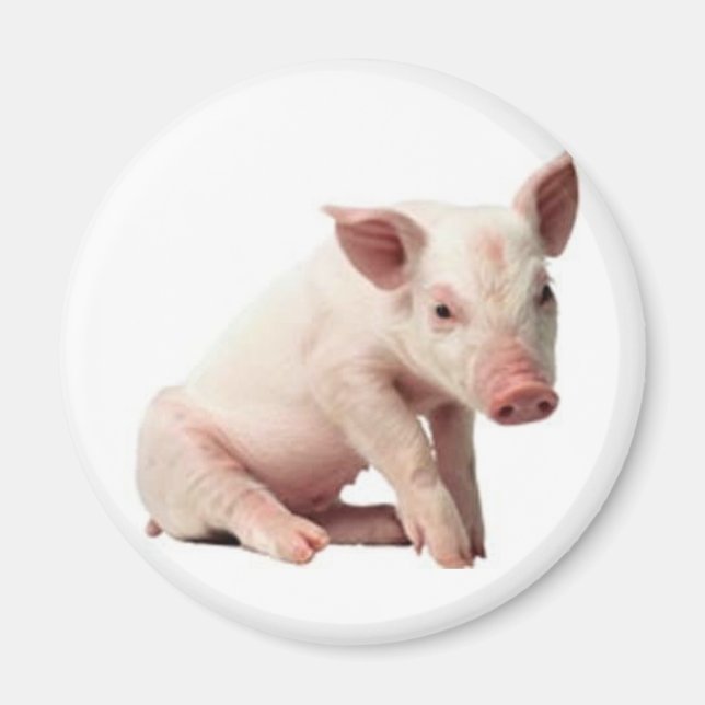 gris magnet (Framsidan)