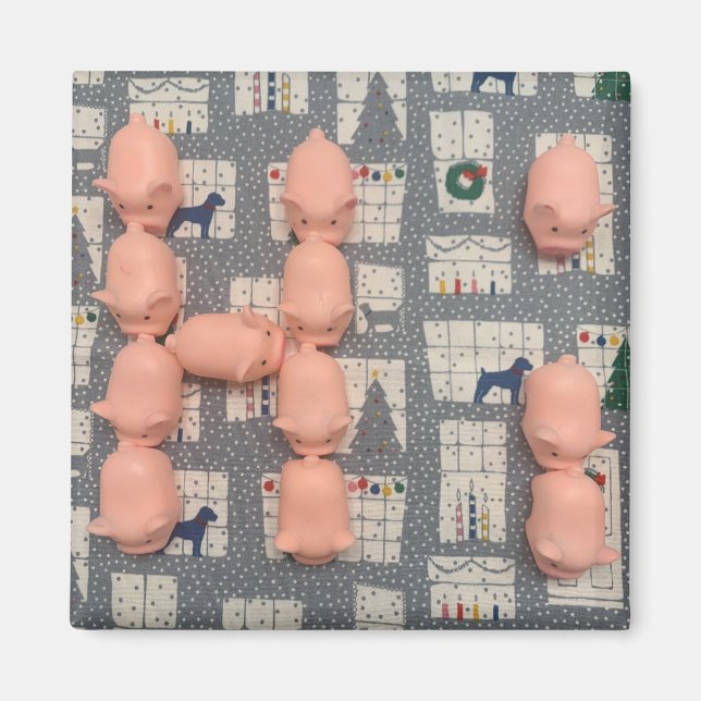 Gris magnet (Framsidan)