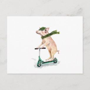 Gris på scooter vykort