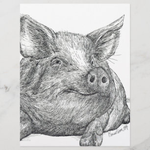 Gris Piglet