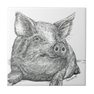 Gris Piglet Kakelplatta