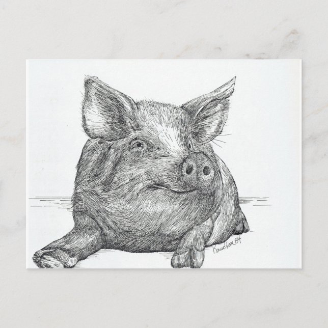 Gris Piglet Vykort (Framsida)