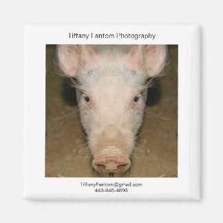 Gris Promo Biet Magnet