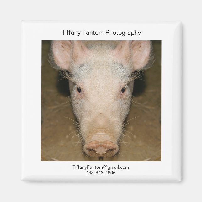 Gris Promo Biet Magnet (Framsidan)