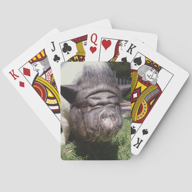 Gris som leker kort casinokort (Baksidan)