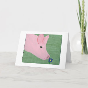 Gris som luktar blomman kort