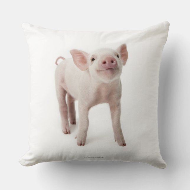 Gris Tittar upp Kudde (Framsida)