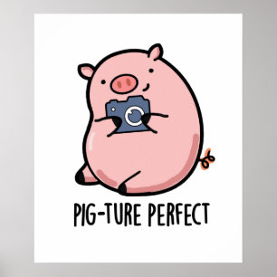 Gris ture Perfekt Funny Photography Gris Pun Poster