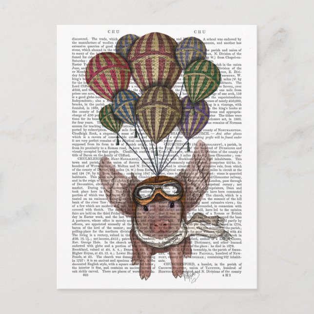 Gris Vykort (Framsida)