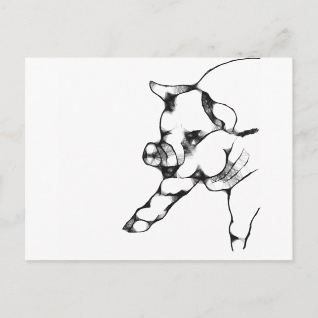 gris vykort (Framsida)