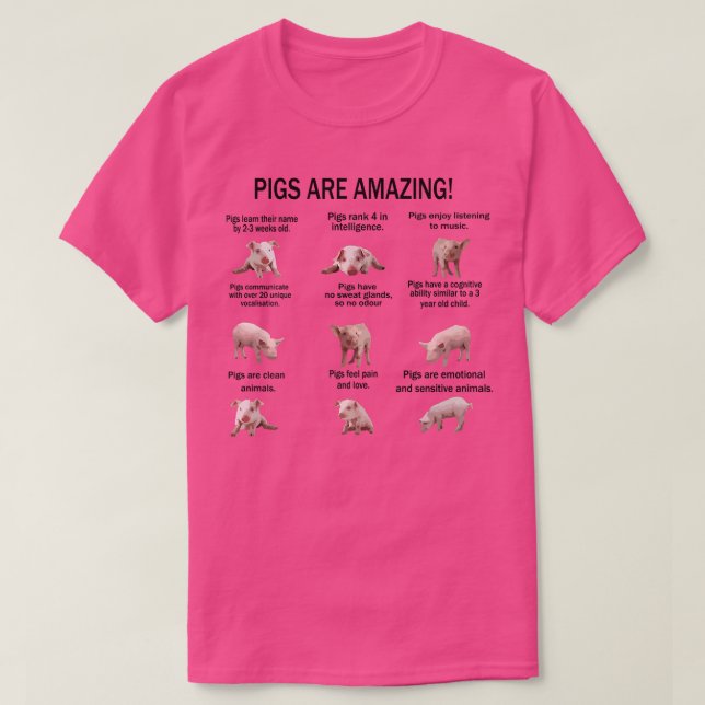 Grisar är Fantastisk Cute Grisar Premium T Shirt (Design framsida)