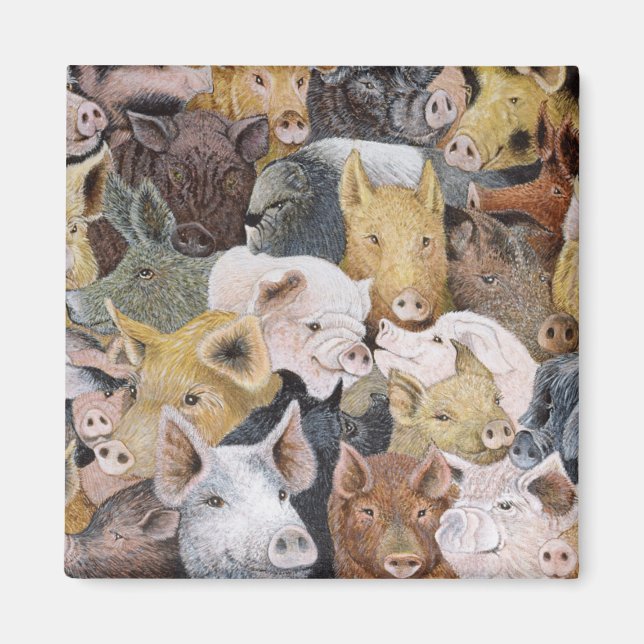 Grisar Galore Magnet (Framsidan)