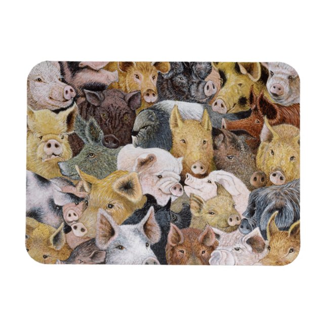 Grisar Galore Magnet (Horisontell)