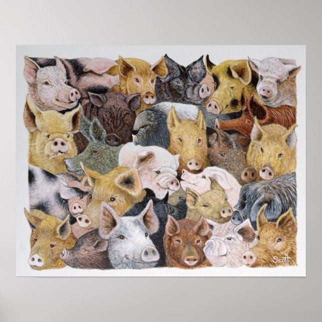 Grisar Galore Poster (Framsidan)