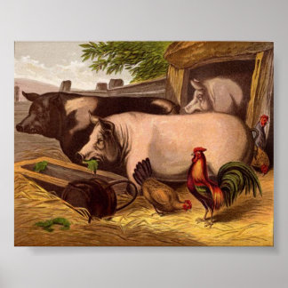 Grisar i Barnyard Poster
