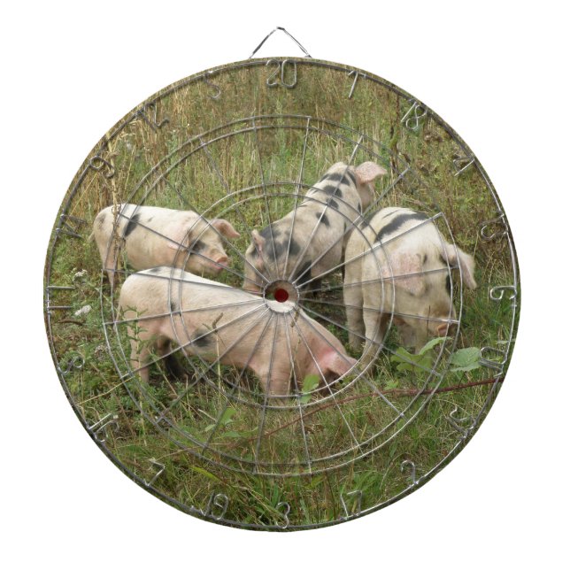 Grisar i Fält Dart Board Darttavla (Framsidan)