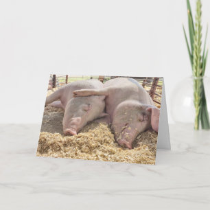 Grisar i pennan på årsdagen kort