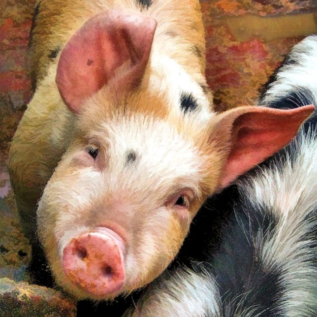 GRISAR JULGRANSPRYDNAD KERAMIK (Skapare uppladdad)