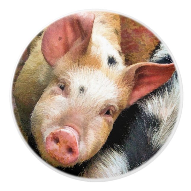 GRISAR KNOPP (Framsidan)