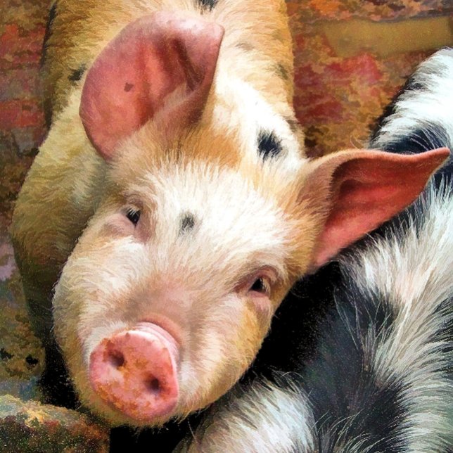 GRISAR KÖKSHANDDUK (Skapare uppladdad)