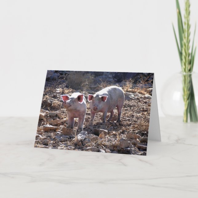 Grisar Kort (Framsida)