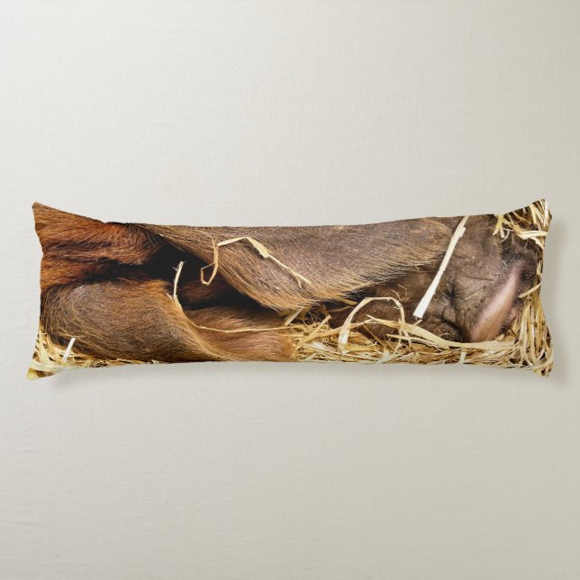 GRISAR KROPPSKUDDE (Framsidan)