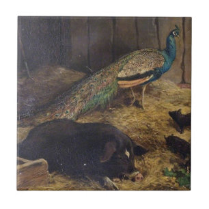 Grisar och påfågel av den Charles Burton Kakelplatta