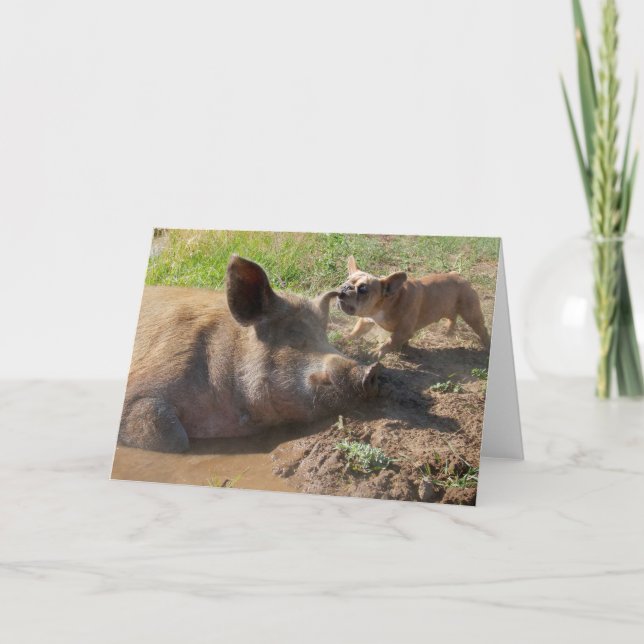 Grisar öronhälsningskort kort (Framsida)