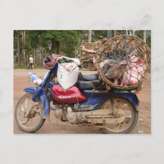 Grisar på motorcykel-Kambodja Vykort
