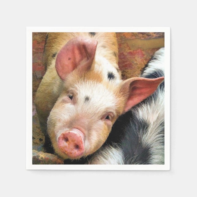 GRISAR PAPPERSSERVETT (Framsidan)