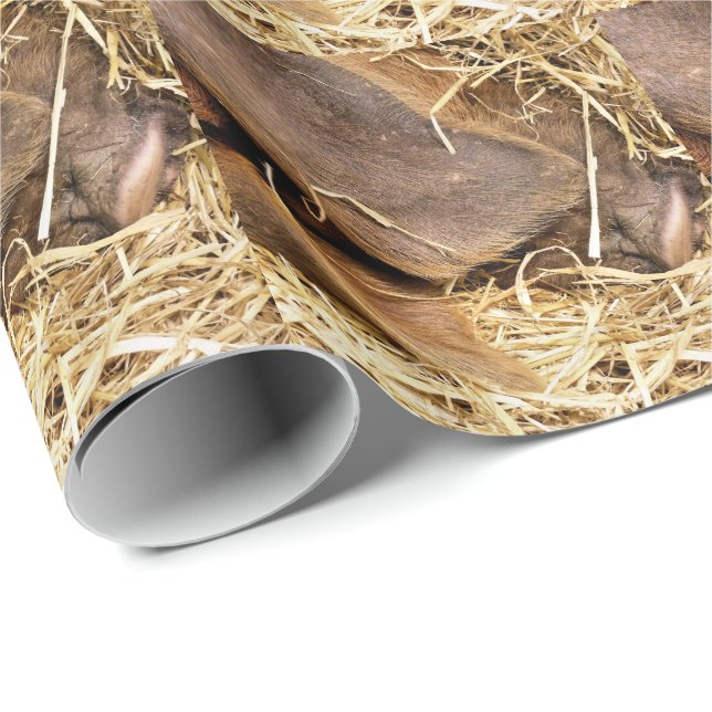 GRISAR PRESENTPAPPER (Rullad Hörn)