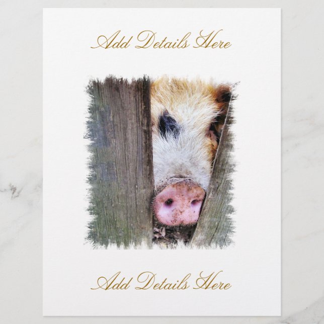 GRISAR REKLAMBLAD (Framsidan)