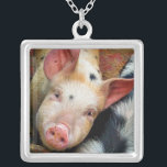 GRISAR SILVERPLÄTERAT HALSBAND<br><div class="desc">Den här söta lilla grisen vill bara säga "Hej"! England UK. com</div>