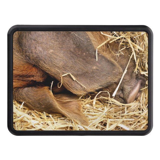 GRISAR SKYDD FÖR DRAGKROK (Framsidan)