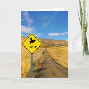 Grisar som flyger ovan kort