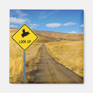 Grisar som flyger ovan magnet