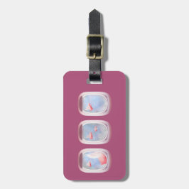 Grisar, tidigare flygplan, Personlig Bagagebricka