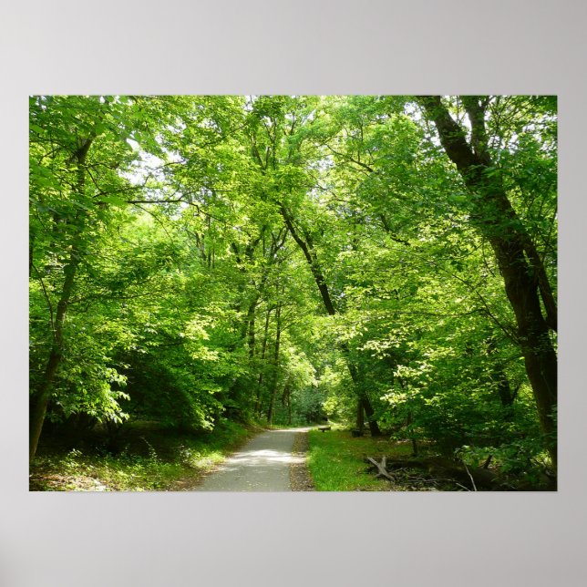 Grist Mill Trail I Poster (Framsidan)