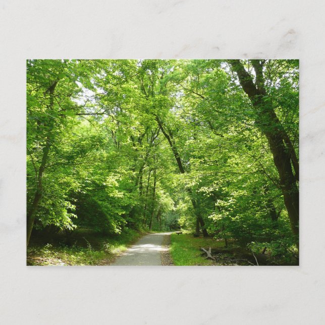 Grist Mill Trail I Vykort (Framsida)