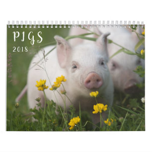 Grisväggkalender - leende i 2018 kalender