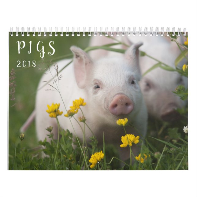 Grisväggkalender - leende i 2018 kalender (Omslag)