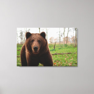 GRIZISKT BÄRBAR FOTOGRAFISK AVBRUTEN CANVAS